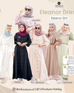ELEANOR 2IN1 (DRESS + PASHTAN)