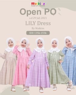 LILY DRESS